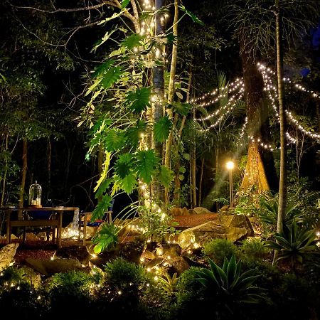 Cairns Rainforest Retreat Luaran gambar