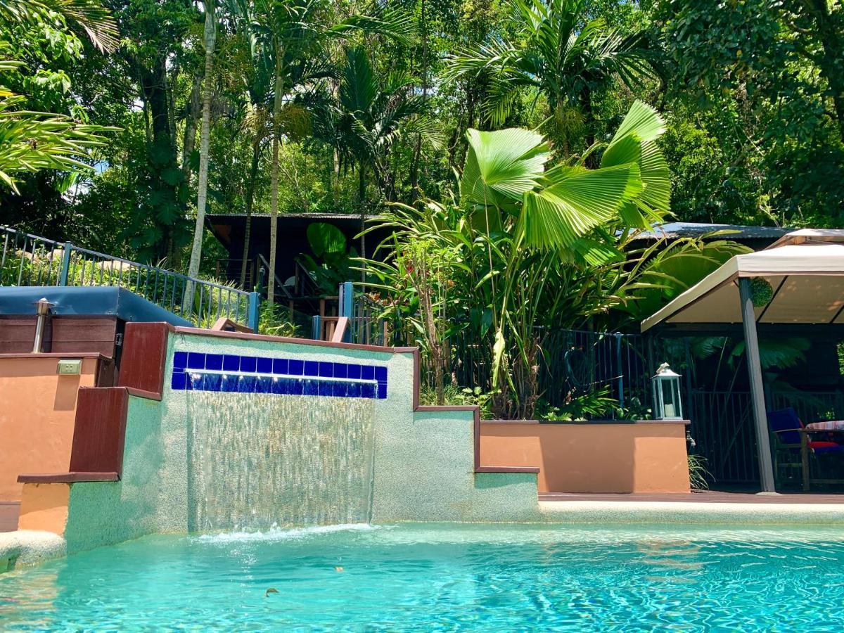 Cairns Rainforest Retreat Luaran gambar