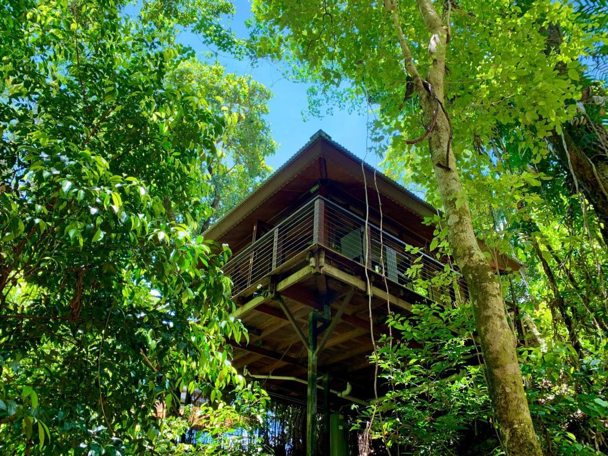 Cairns Rainforest Retreat Luaran gambar