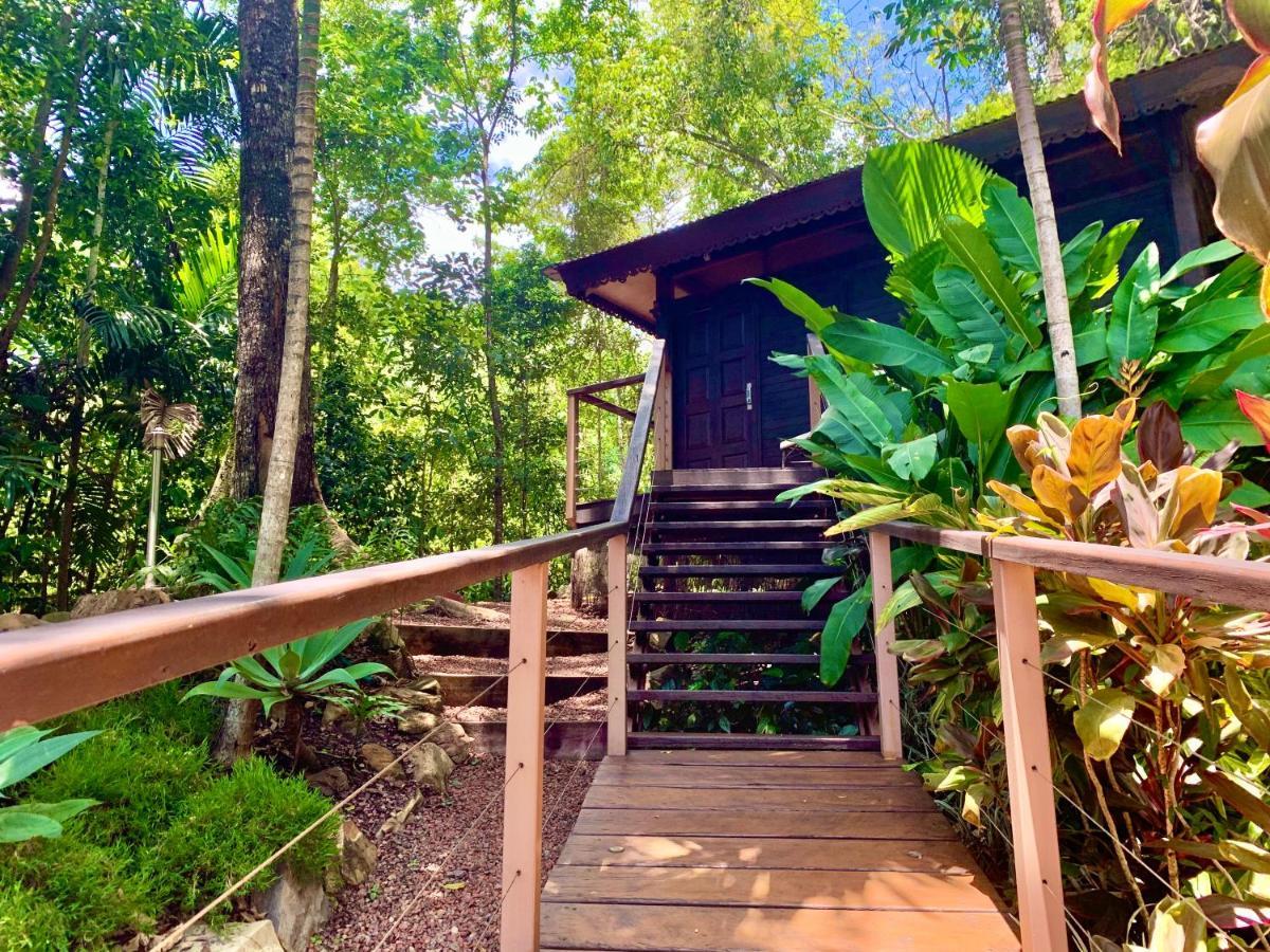 Cairns Rainforest Retreat Luaran gambar