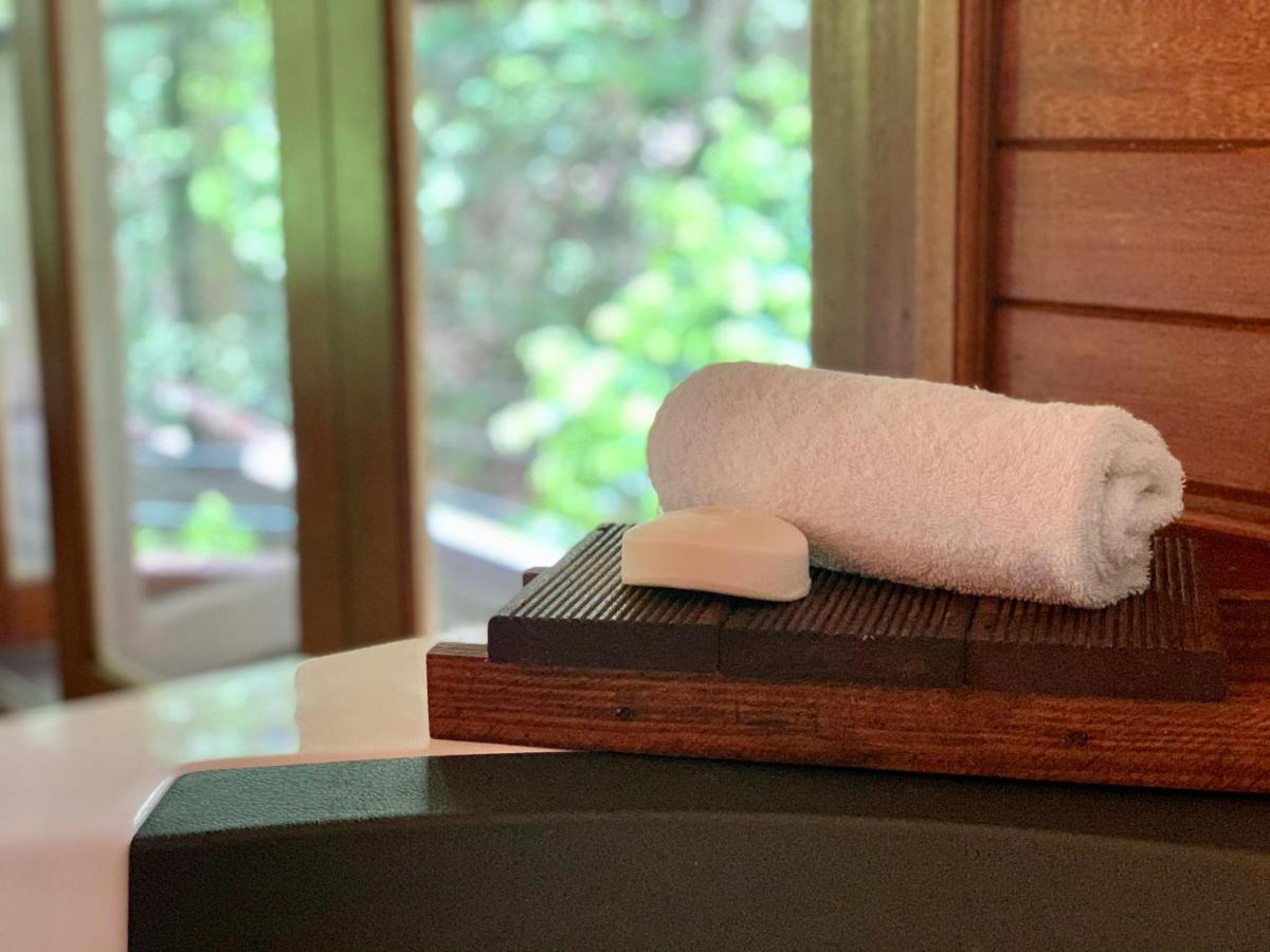 Cairns Rainforest Retreat Luaran gambar
