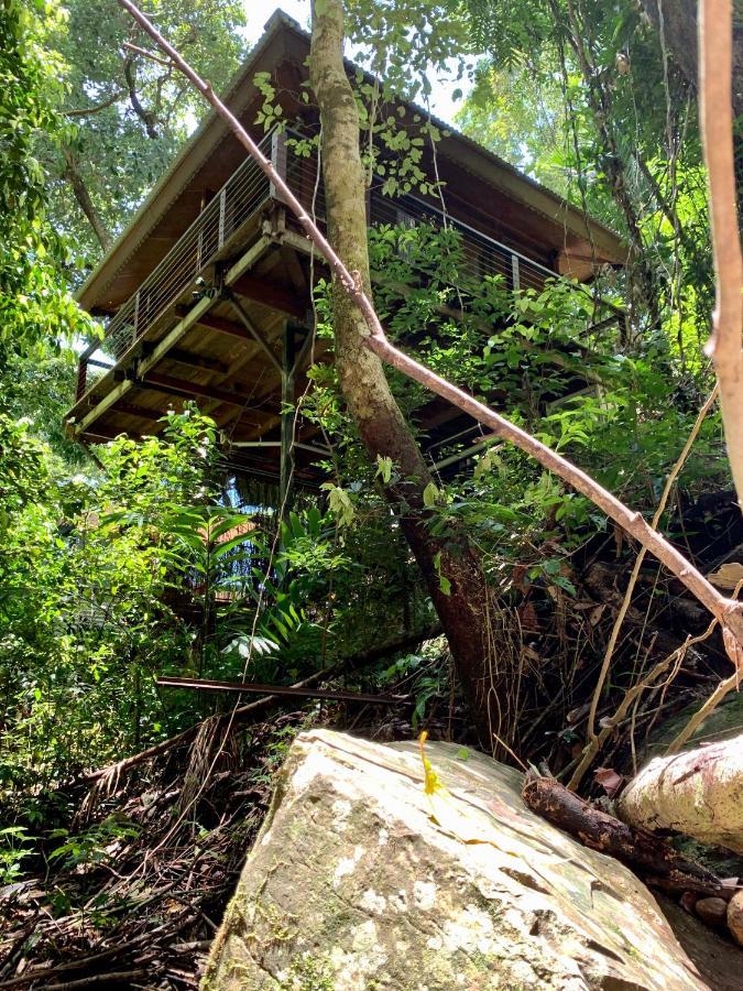 Cairns Rainforest Retreat Luaran gambar