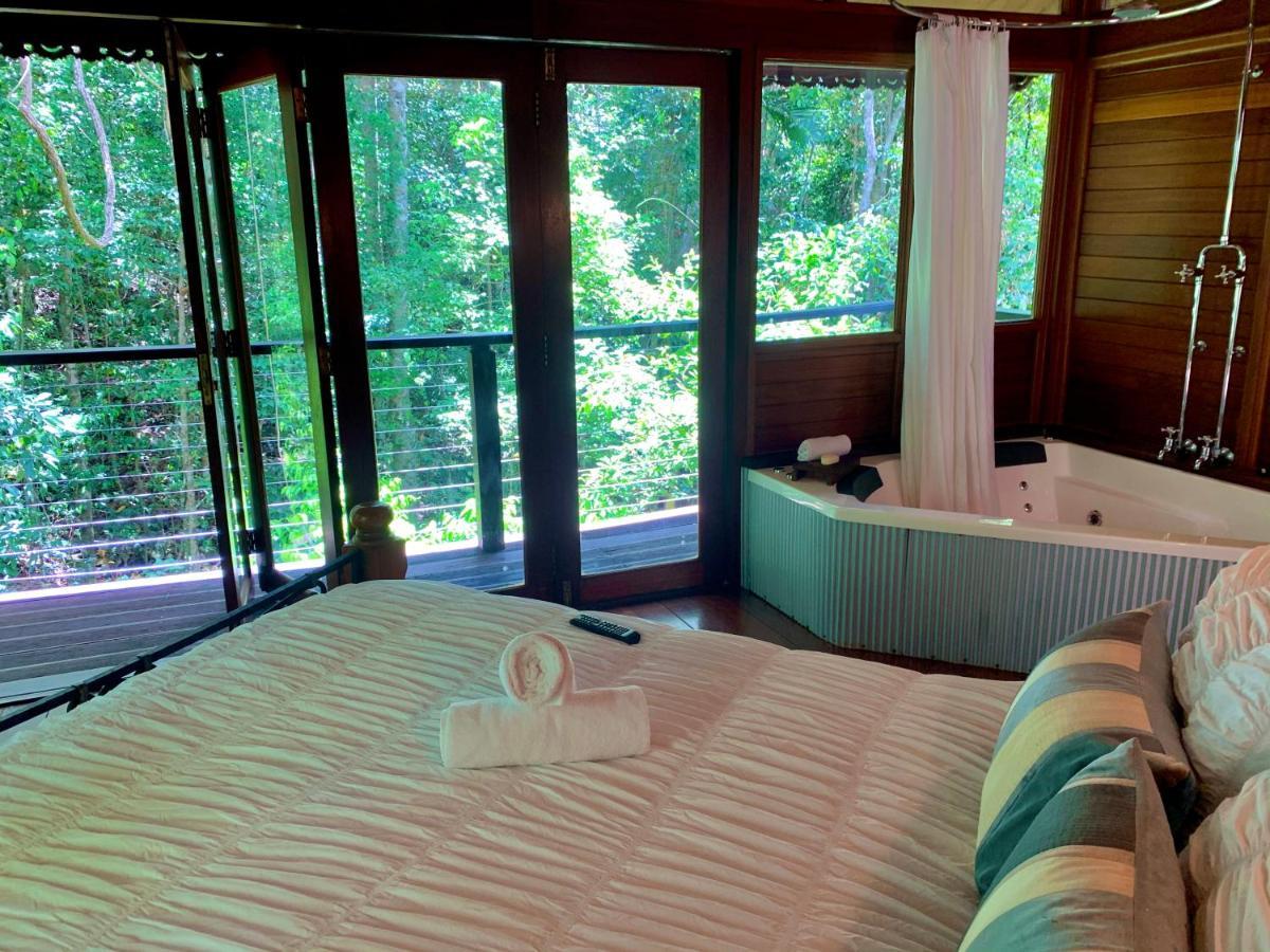 Cairns Rainforest Retreat Luaran gambar