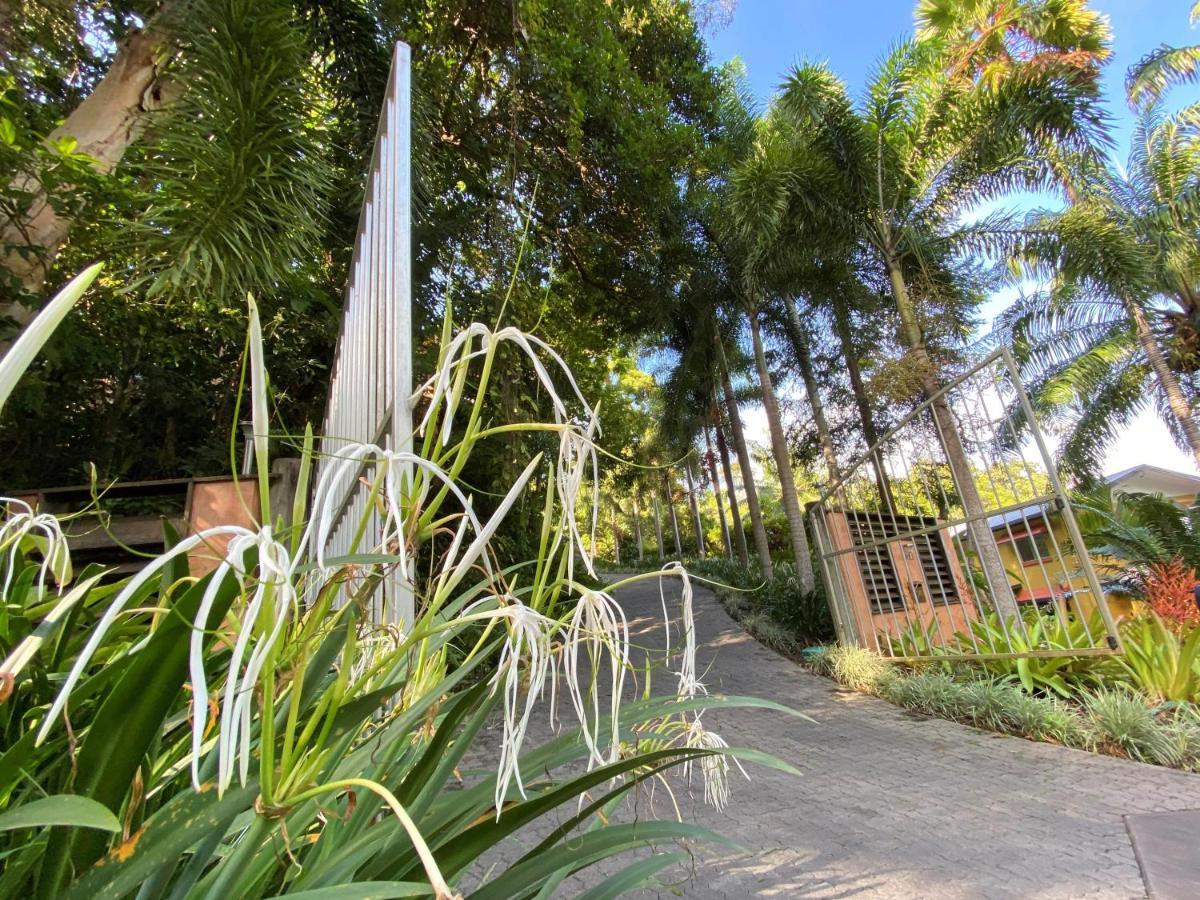 Cairns Rainforest Retreat Luaran gambar
